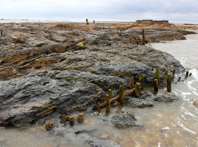 Coatal Archaeology fishtrap 1.jpg