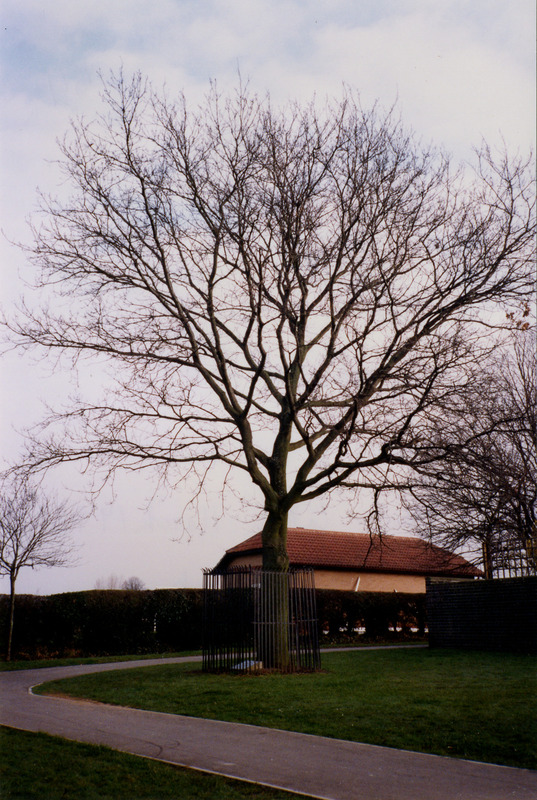 ACQ454-1-4.jpg