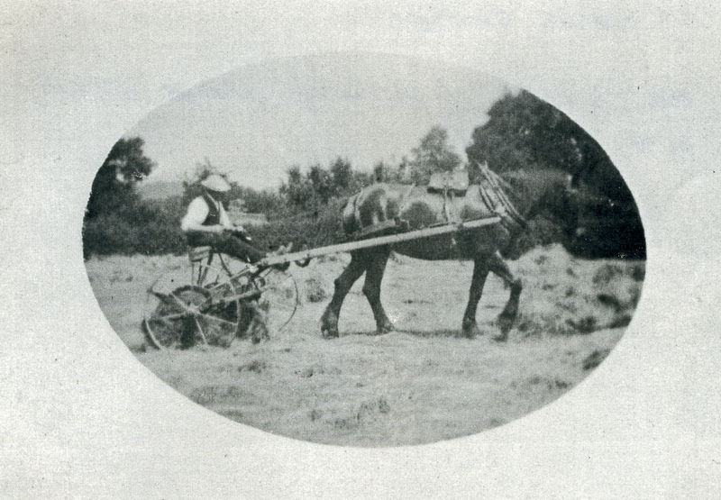 ACQ811-2-3.jpg