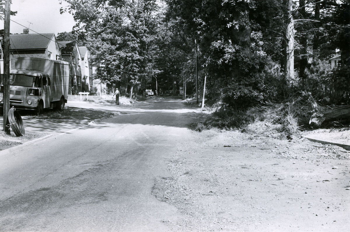 1277-3-4.jpg