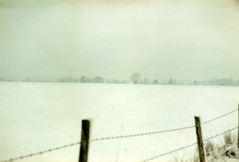 ACQ642-12-7.jpg ACQ642-12-7.jpg