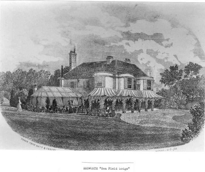 1 Seafields PINK 53.1.png