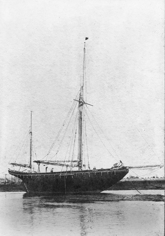acq435-2-2.jpg