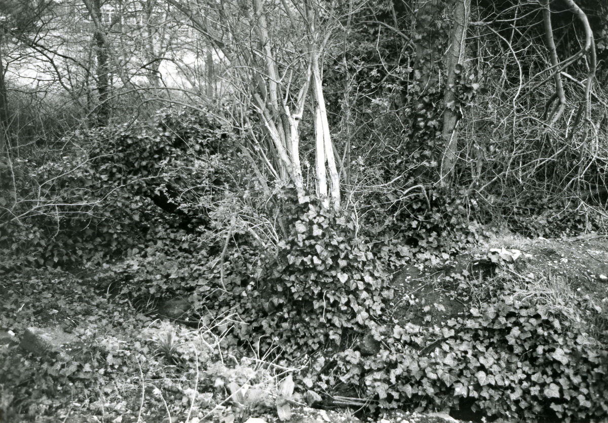 1277-2-48.jpg