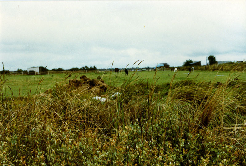 ACQ642-15-3.jpg ACQ642-15-3.jpg