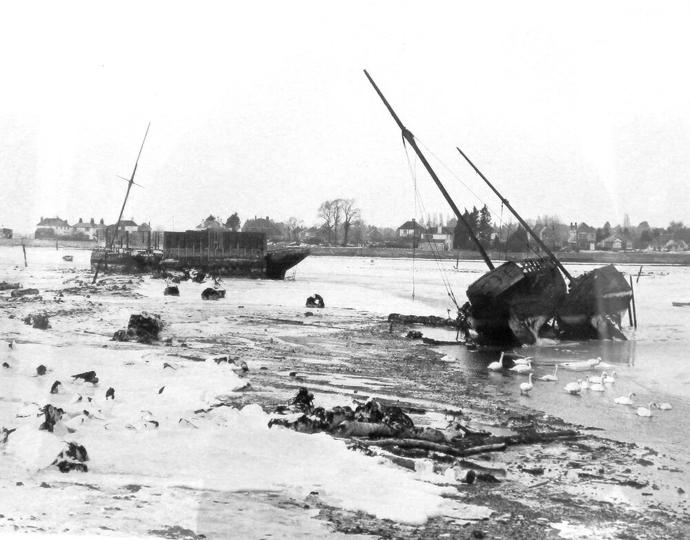 EMHT1362.jpeg EMHT1362.jpeg