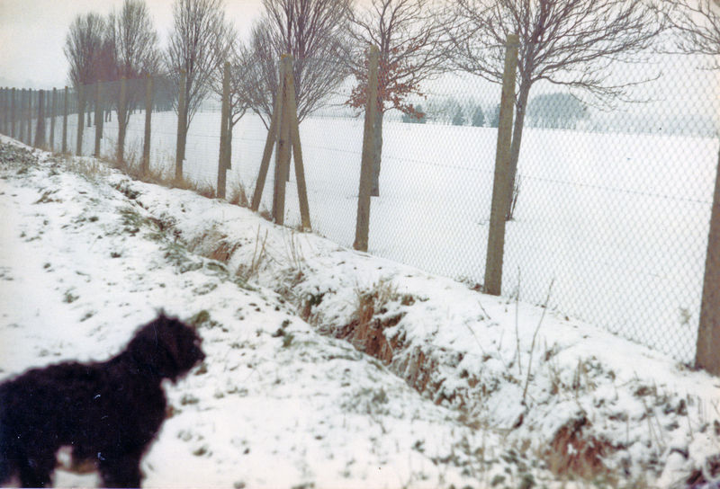 ACQ642-12-5.jpg ACQ642-12-5.jpg