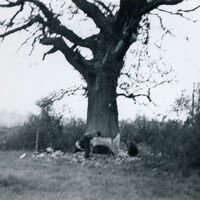 ACQ805-13-1.jpg
