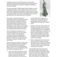 Wedding Dress.pdf