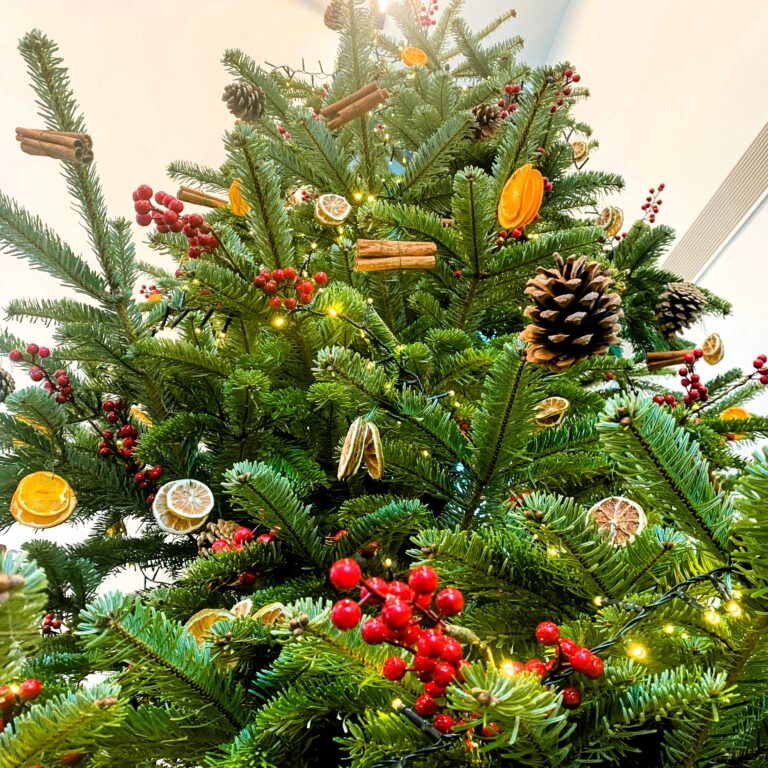 Talk – Nigel Gossop: Untangling Christmas or a Load of Old Baubles